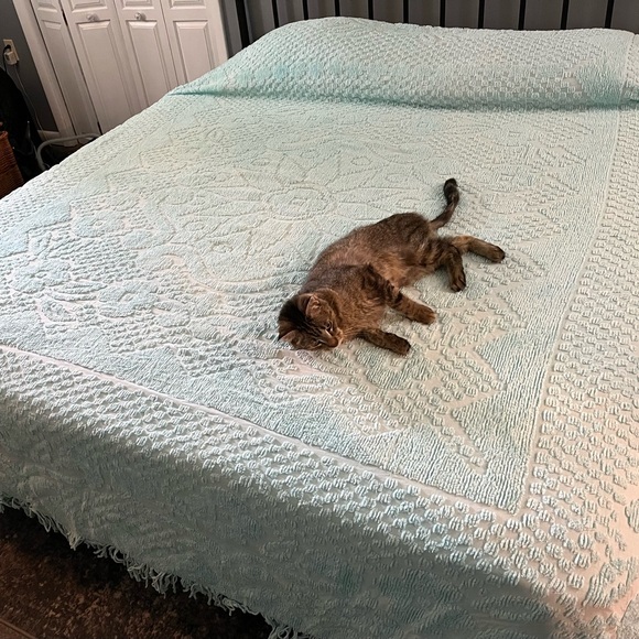 Vintage cotton Pastel mint aqua chenille bedspread full/double - Picture 6 of 6